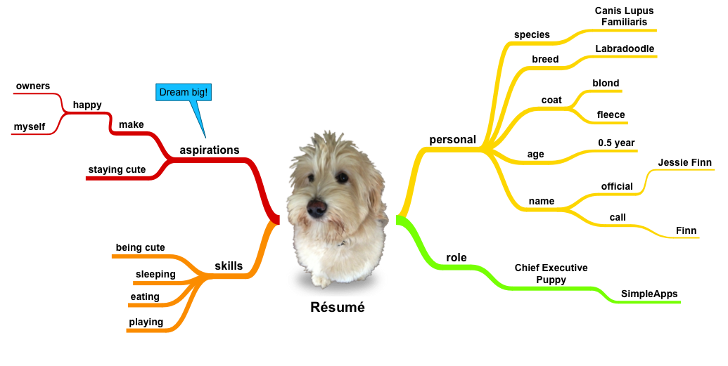 FAQ example mindmap dog