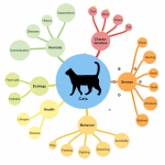 Example Mind Map Cats