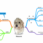 example mind map dog