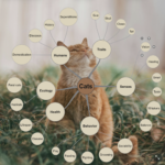 Example Mind Map Cat as custom background