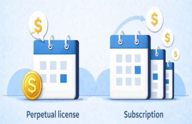 Perpetual license
